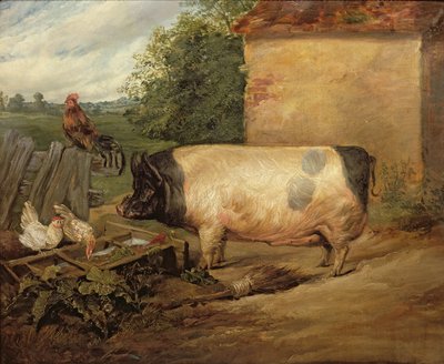 Portrait of a Prize Pig, Property of Squire Weston of Essex, 1810 by Edwin Landseer
